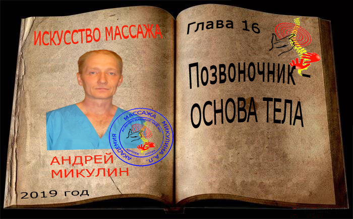 Глава 16. Позвоночник – Основа Тела - Искусство Массажа Андрея Микулина КНИГА