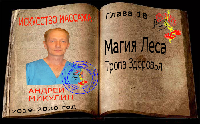 Глава 18. Магия Леса. Тропа Здоровья - Искусство Массажа Андрея Микулина КНИГА